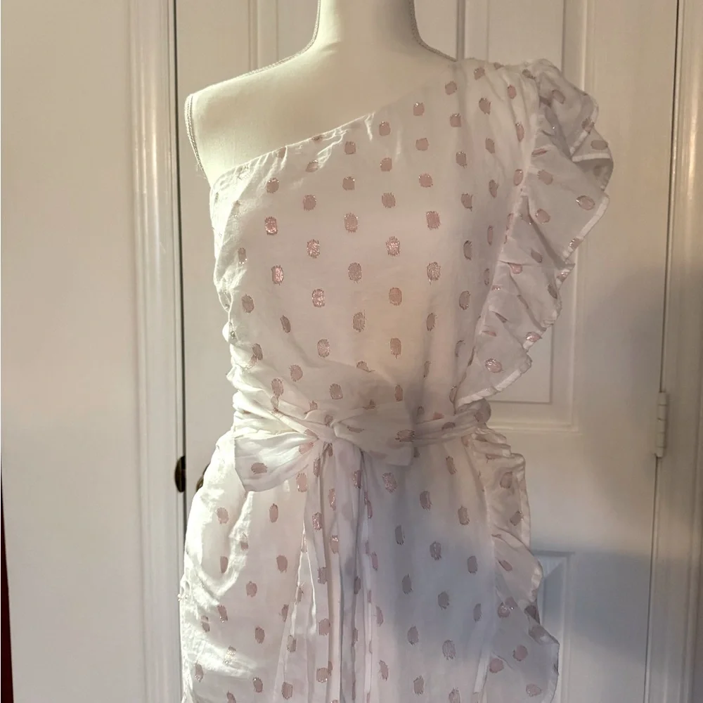 “LOVERS + FRIENDS” X Revolve Whitney Rose Dress - Picture 7 of 16